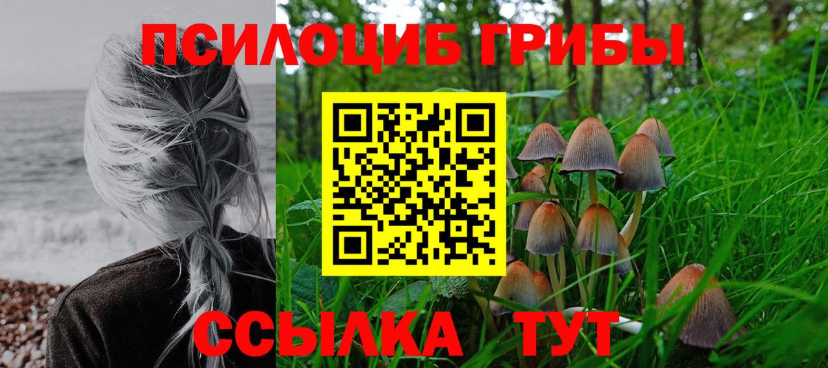 Псилоцибиновые грибы ЛСД  Вход с VPN  Братск 